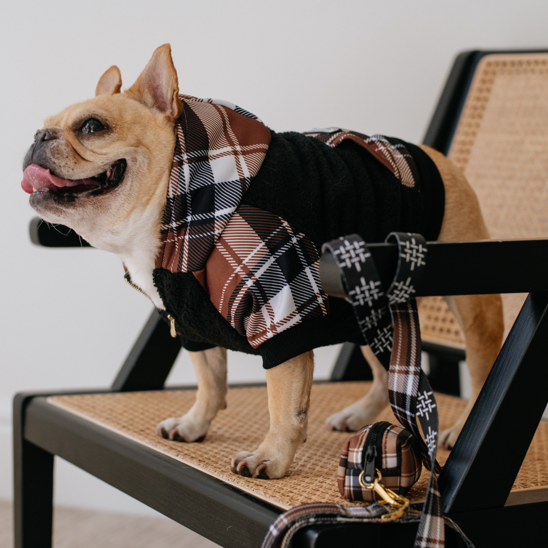 Frenchie Dog Hoodie - Cocoa Plaid from Frenchie Bulldog