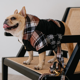 Frenchie Dog Hoodie - Cocoa Plaid from Frenchie Bulldog