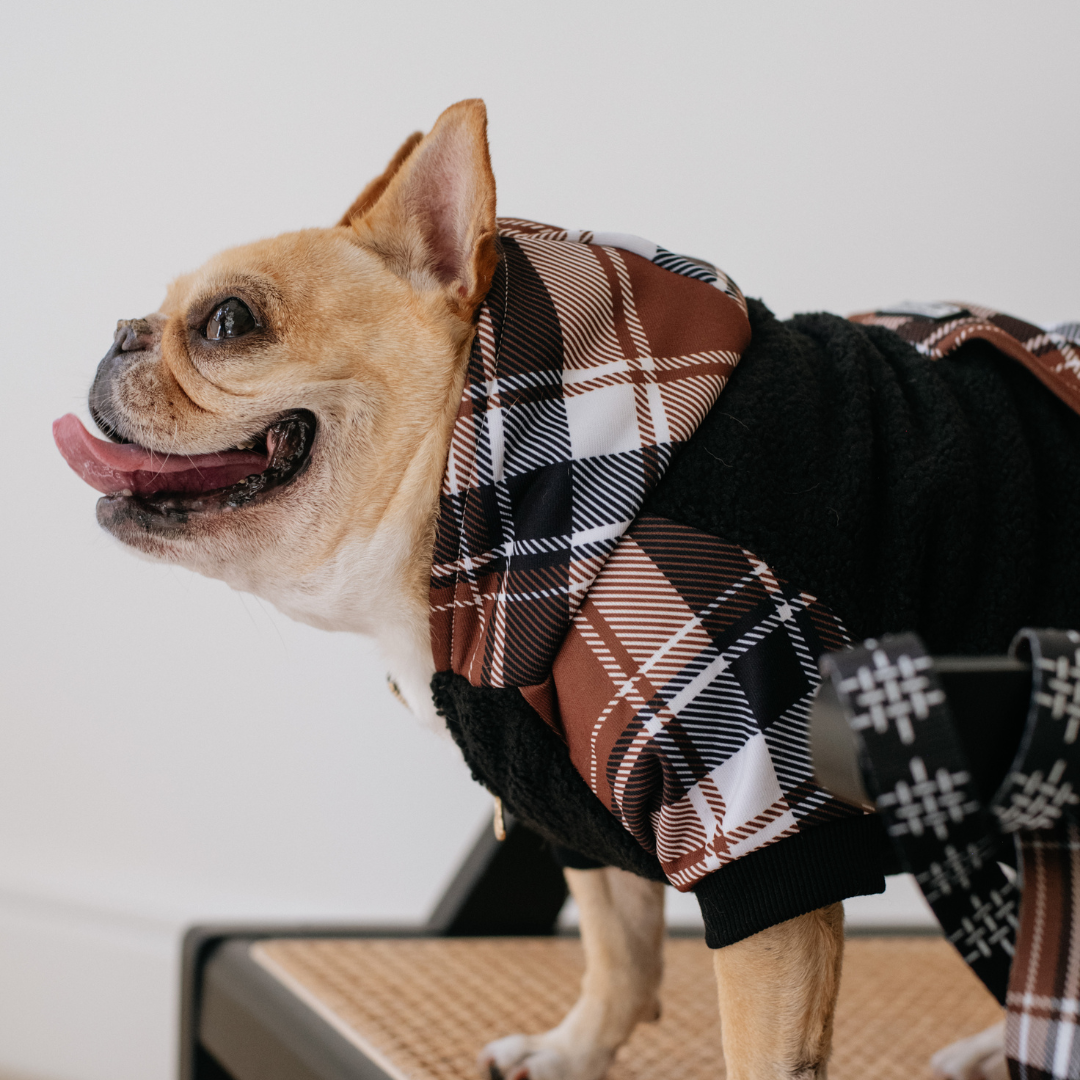 Frenchie Dog Hoodie - Cocoa Plaid from Frenchie Bulldog