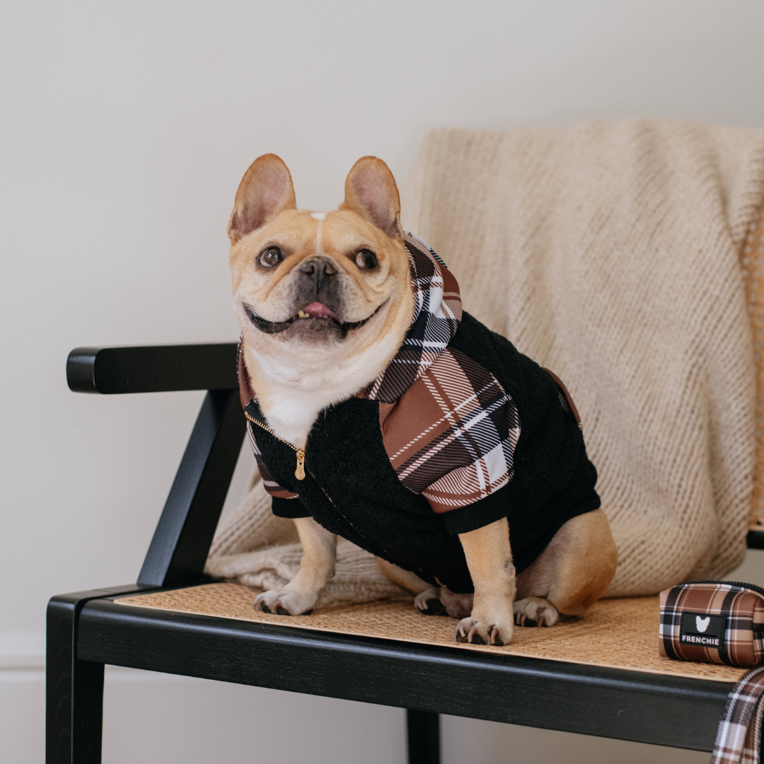 Frenchie Dog Hoodie - Cocoa Plaid from Frenchie Bulldog
