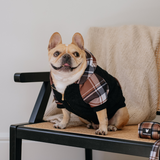 Frenchie Dog Hoodie - Cocoa Plaid from Frenchie Bulldog