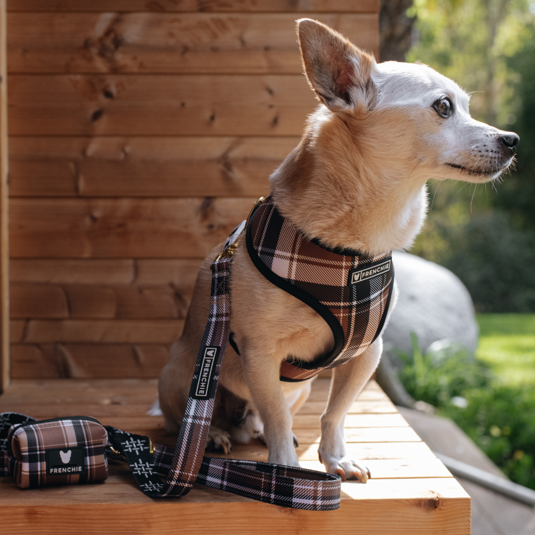 Frenchie Duo Reversible Harness - Cocoa Plaid from Frenchie Bulldog