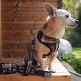 Frenchie Duo Reversible Harness - Cocoa Plaid from Frenchie Bulldog