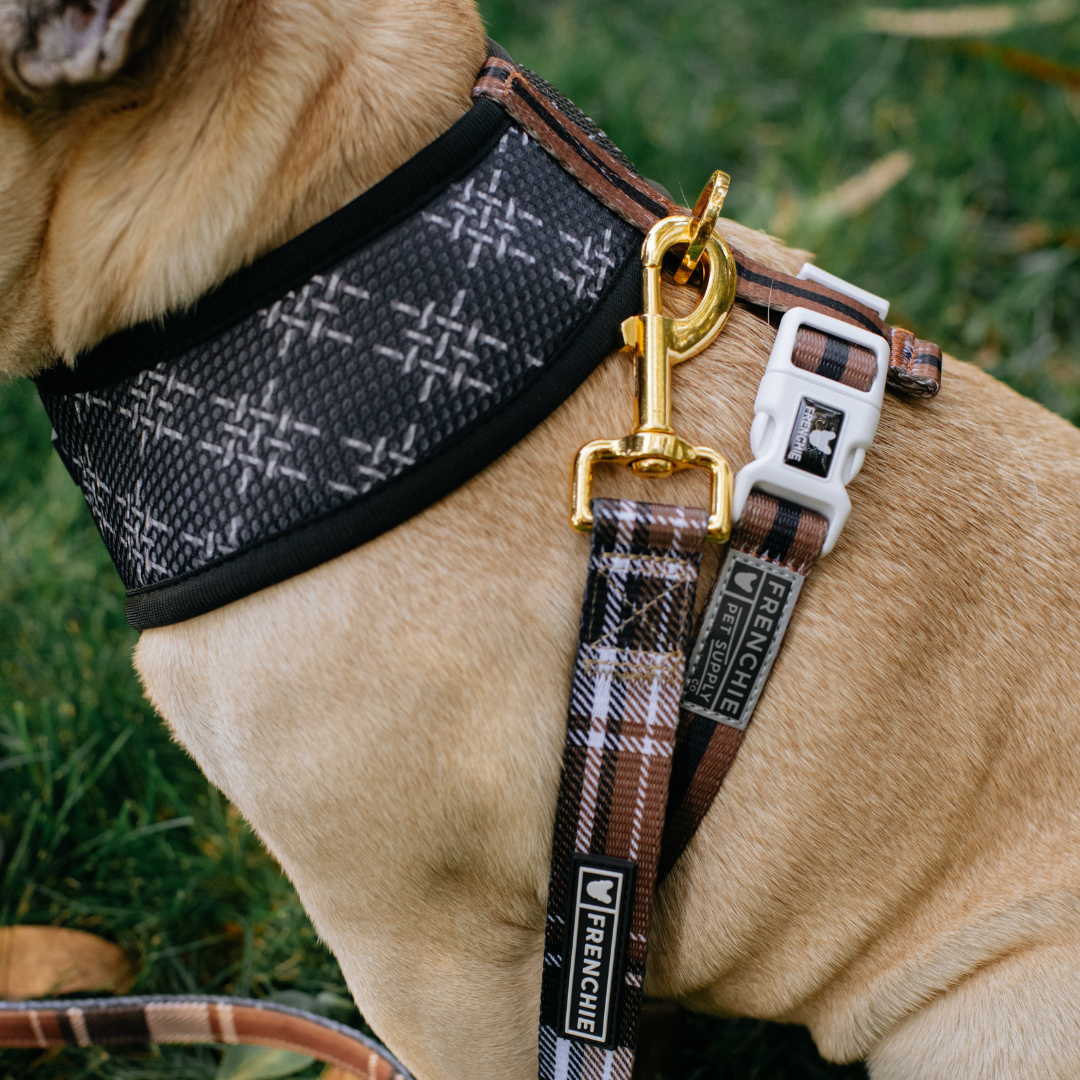 Frenchie Duo Reversible Harness - Cocoa Plaid from Frenchie Bulldog