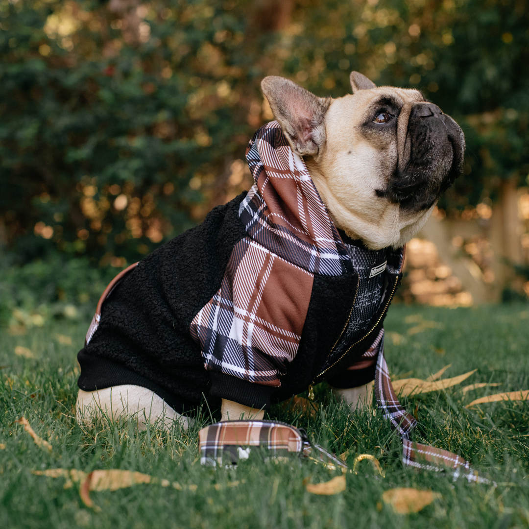 Frenchie Dog Hoodie - Cocoa Plaid from Frenchie Bulldog