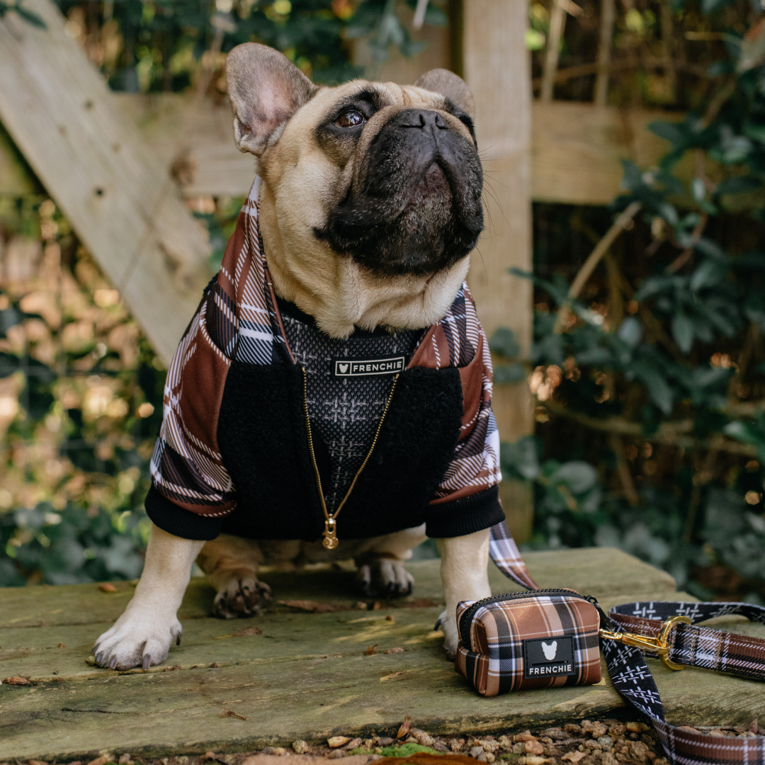 Frenchie Dog Hoodie - Cocoa Plaid from Frenchie Bulldog