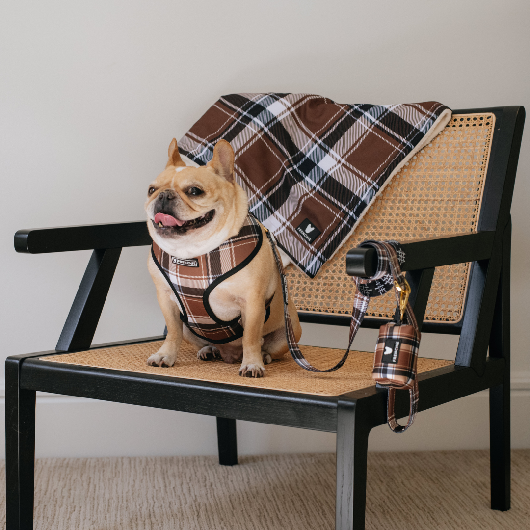 Frenchie Duo Reversible Harness - Cocoa Plaid from Frenchie Bulldog