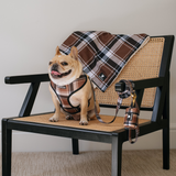 Frenchie Duo Reversible Harness - Cocoa Plaid from Frenchie Bulldog