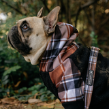 Frenchie Dog Hoodie - Cocoa Plaid from Frenchie Bulldog