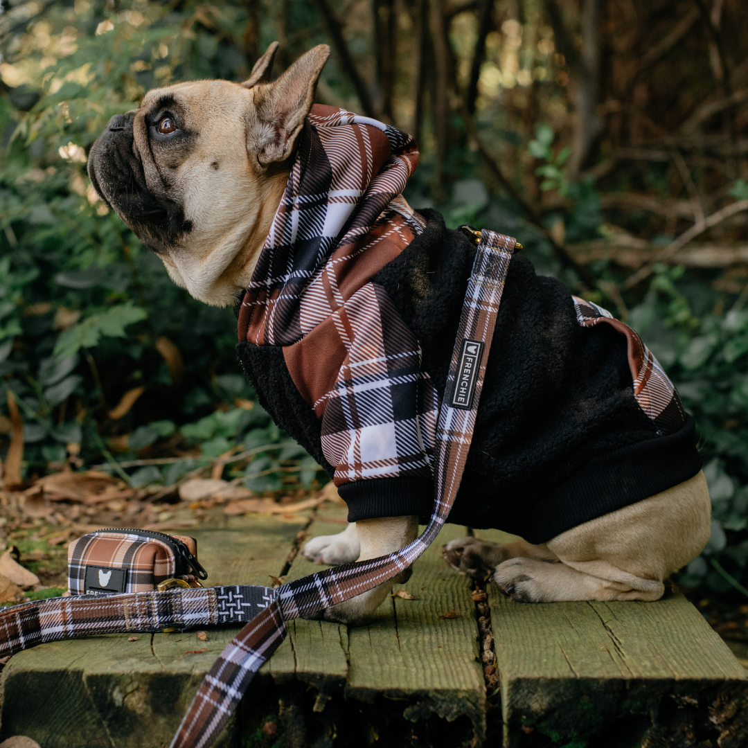 Frenchie Dog Hoodie - Cocoa Plaid from Frenchie Bulldog