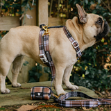 Frenchie Strap Harness - Cocoa Plaid from Frenchie Bulldog