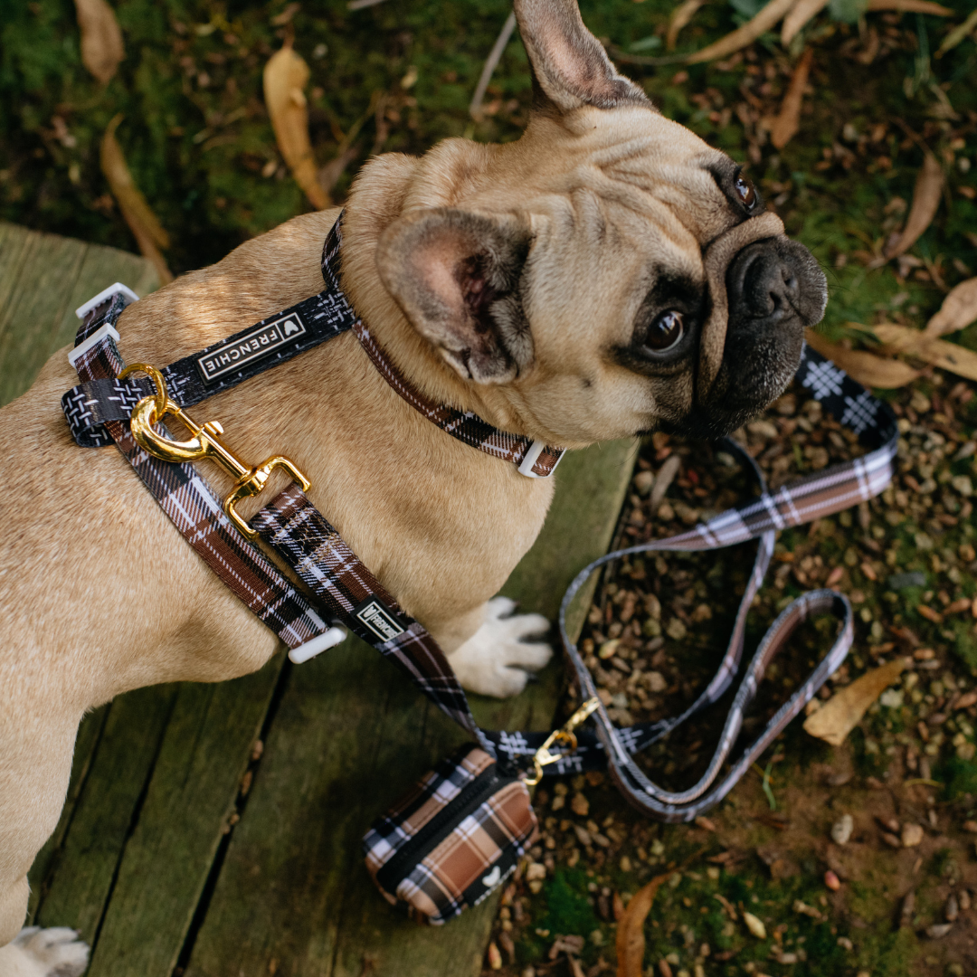 Frenchie Strap Harness - Cocoa Plaid from Frenchie Bulldog