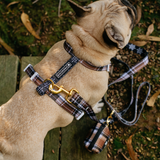Frenchie Strap Harness - Cocoa Plaid from Frenchie Bulldog