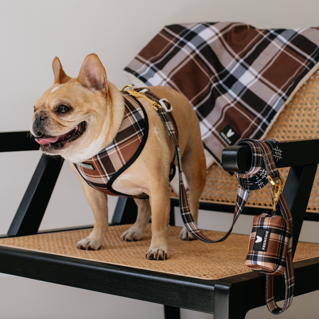 Frenchie Duo Reversible Harness - Cocoa Plaid from Frenchie Bulldog