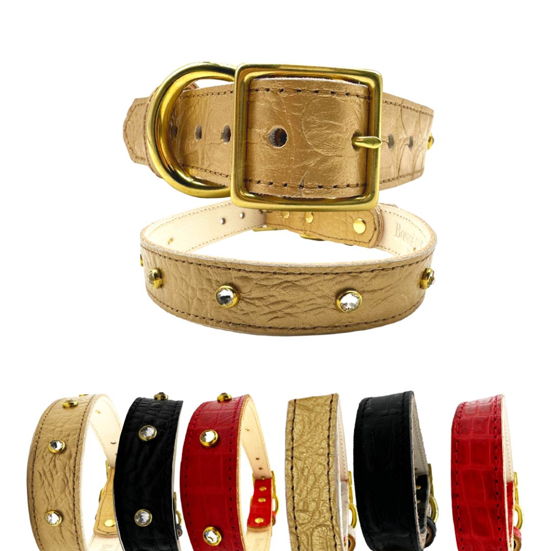 Croc Leather Dog Collar from Bonne et Filou