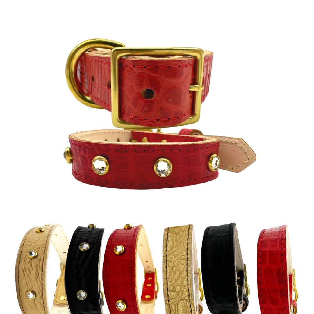 Croc Leather Dog Collar from Bonne et Filou