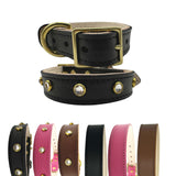 Plain Leather Dog Collar from Bonne et Filou