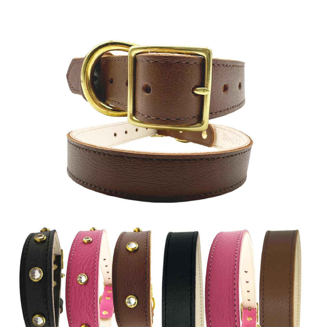 Plain Leather Dog Collar from Bonne et Filou