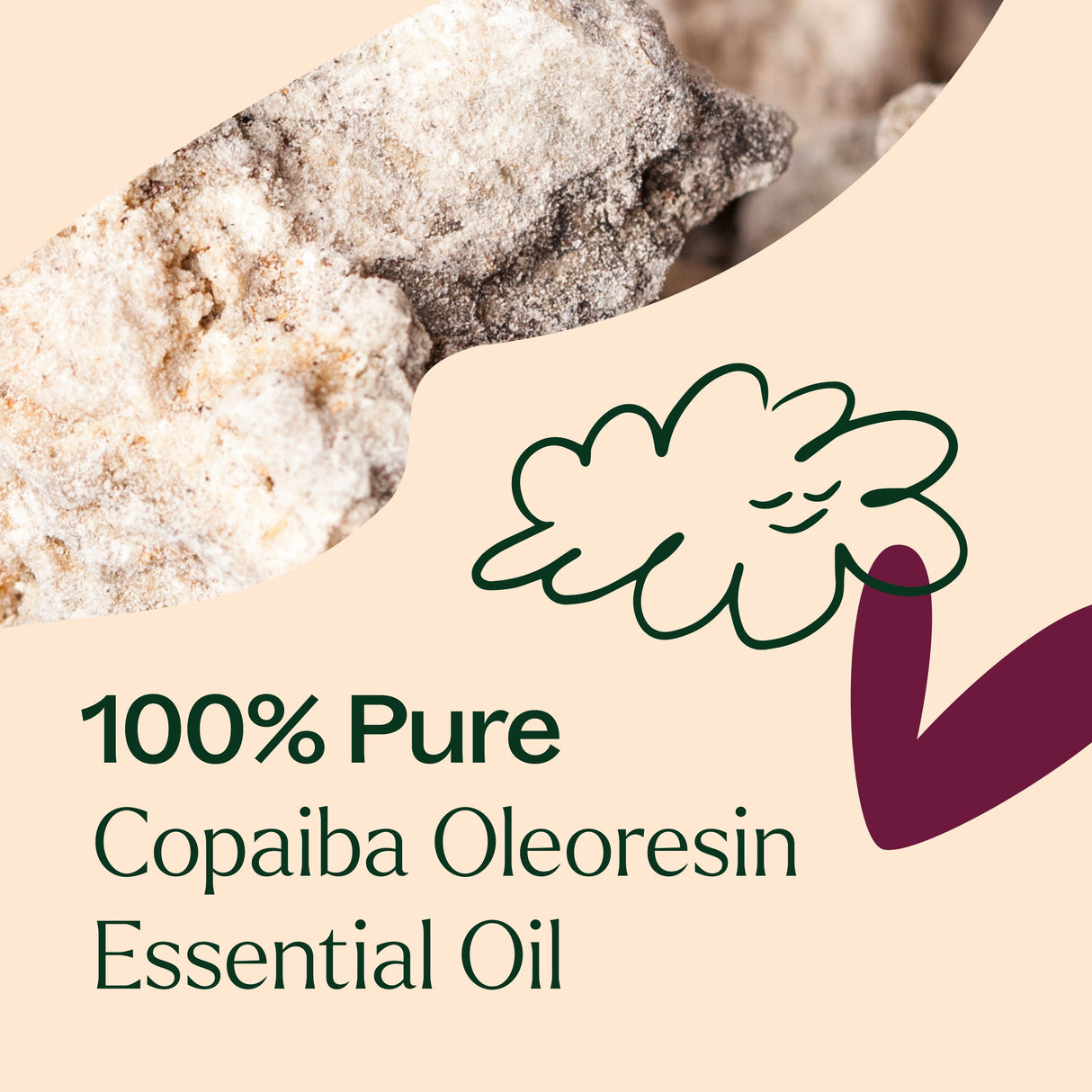 Copaiba Oleoresin from Plant Therapy