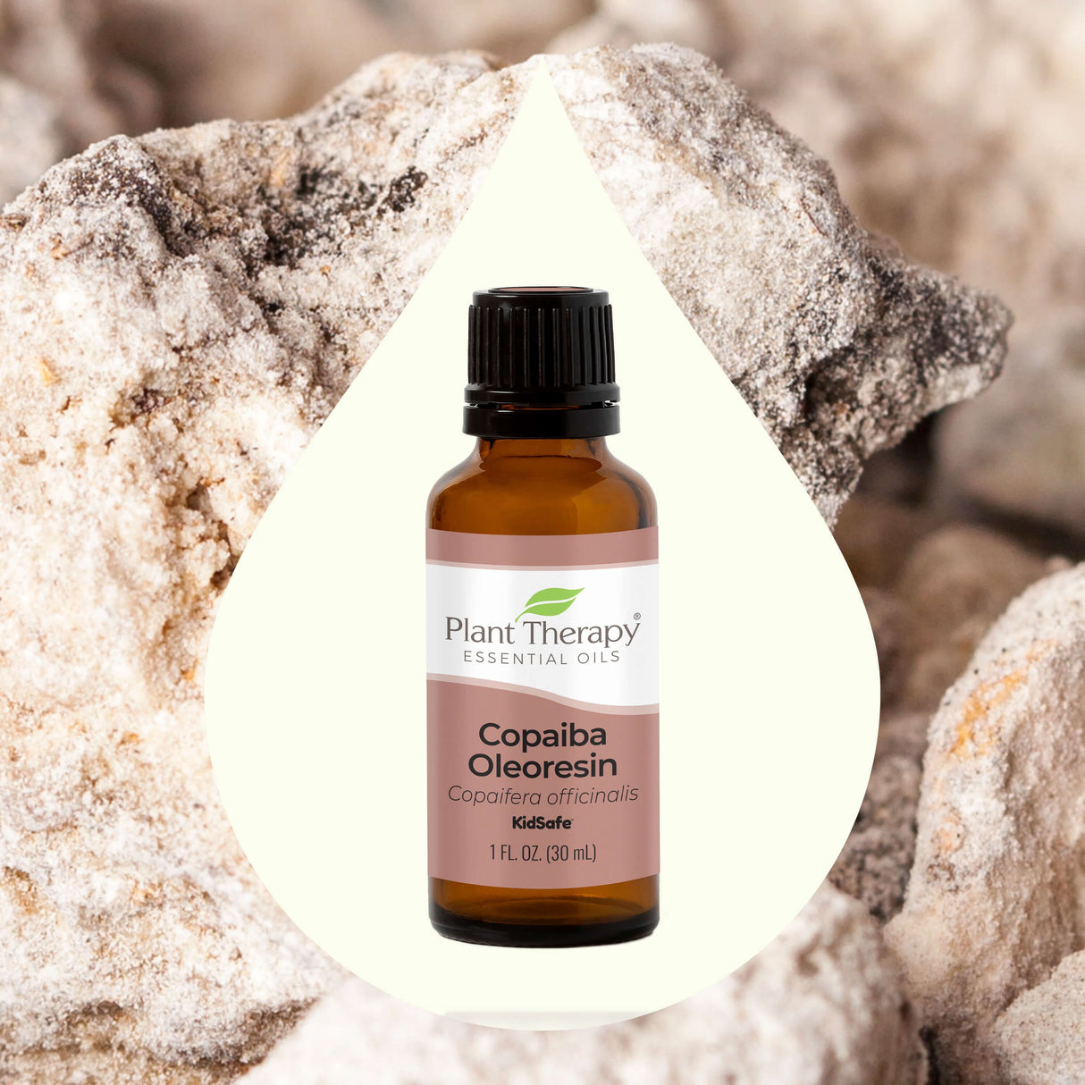 Copaiba Oleoresin from Plant Therapy