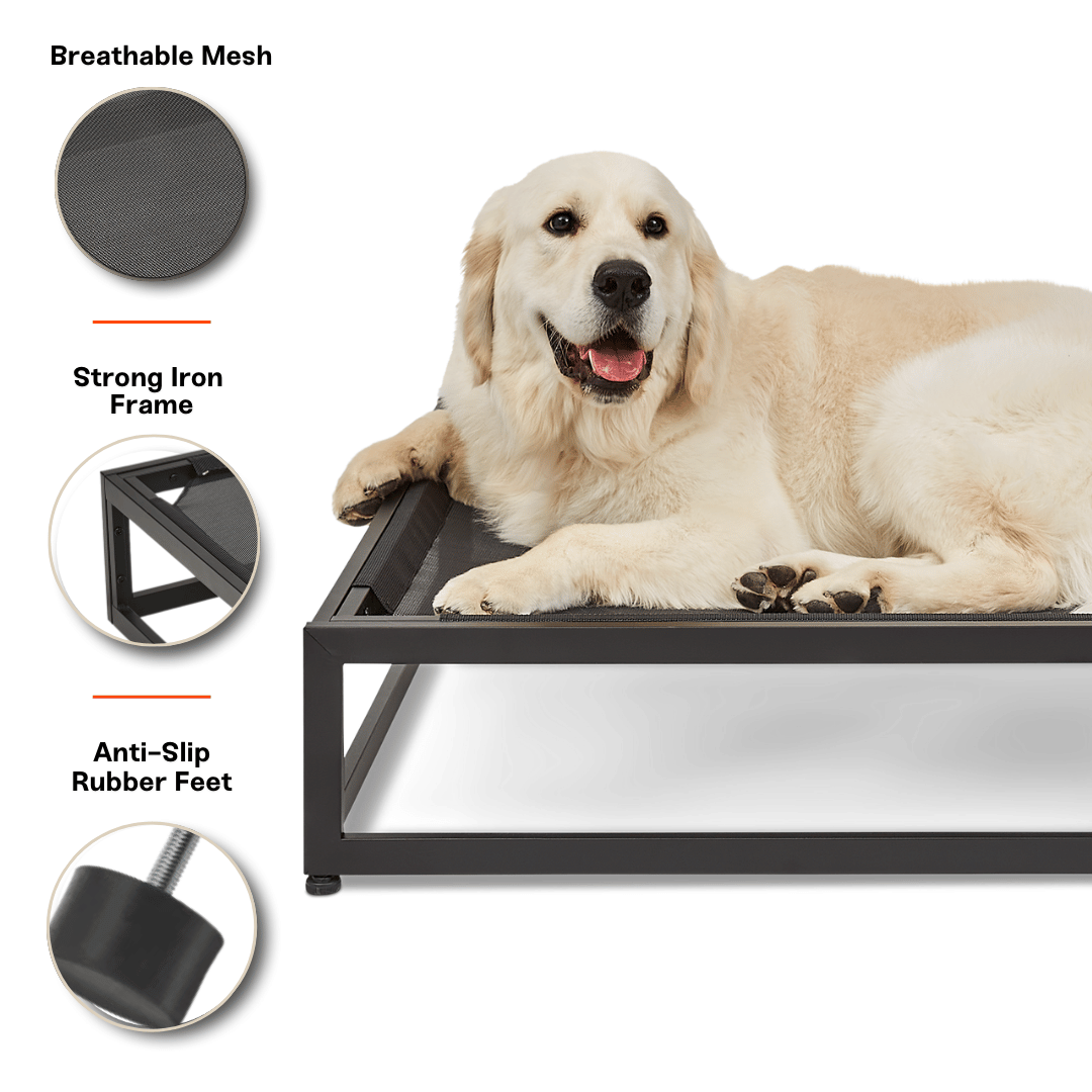 The Up Pup Dog Bed from FÜZI