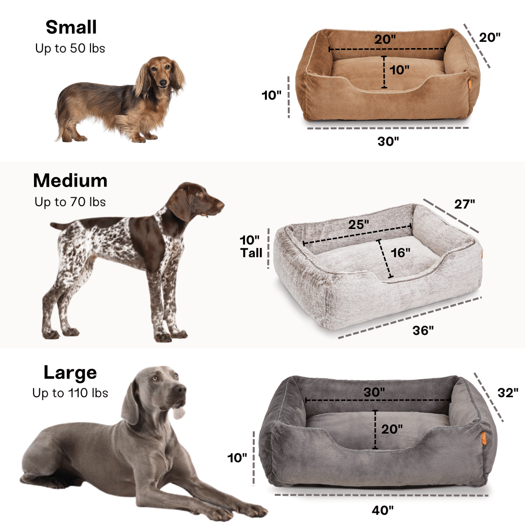 The Sammy Dog Bed from FÜZI