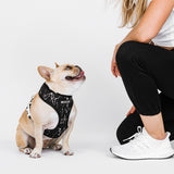 Frenchie Duo Reversible Harness - Black Marble from Frenchie Bulldog