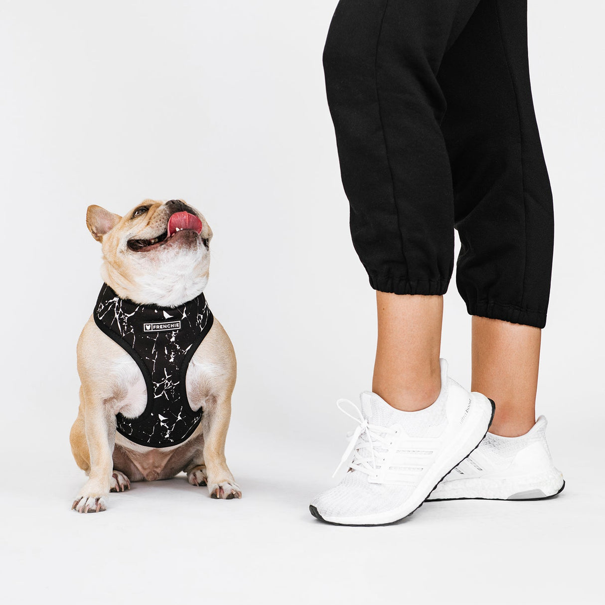 Frenchie Duo Reversible Harness - Black Marble from Frenchie Bulldog