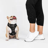 Frenchie Duo Reversible Harness - Black Marble from Frenchie Bulldog