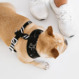 Frenchie Duo Reversible Harness - Black Marble from Frenchie Bulldog