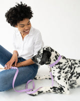 Dog Leash from Springer