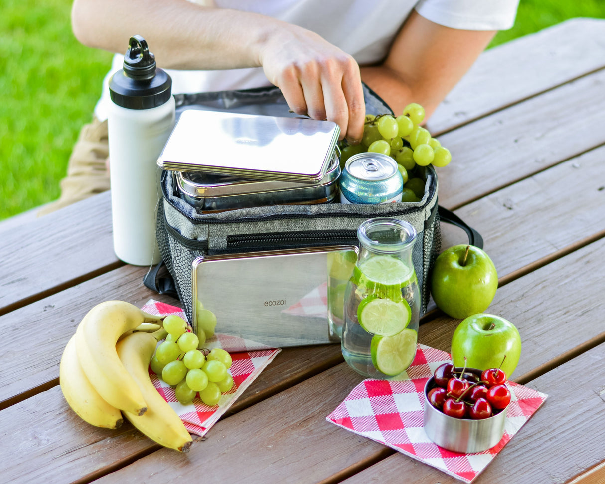 Stainless Steel Freezer PACKS FOR LUNCH Boxes and Lunch Bags, 2 Pack from ecozoi