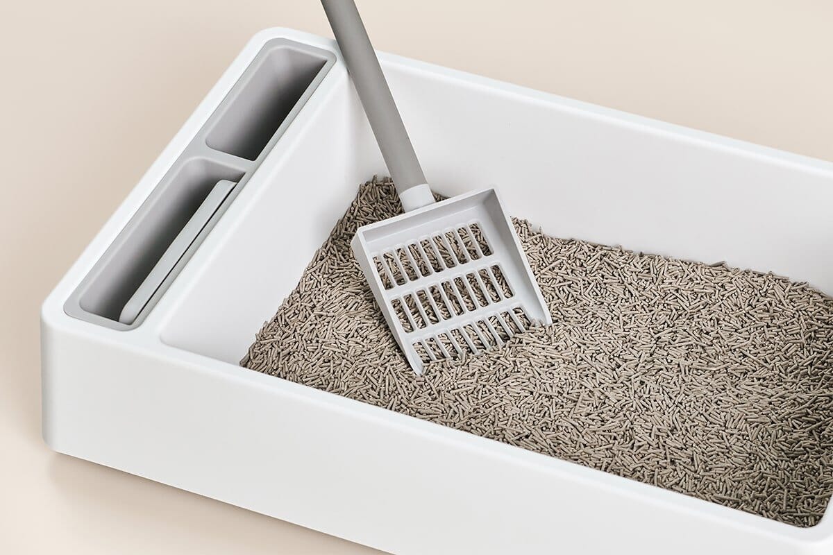 Cove Litter Box From tuft + paw