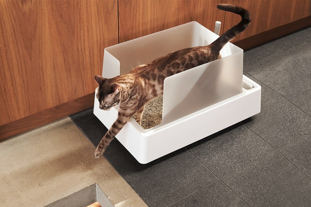 Cove Litter Box From tuft + paw
