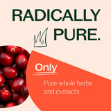 Cranberry with Vitamin C Herbal Supplement - 120 Capsules from Plant Therapy