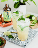 Mojito Syrup two-pack from Portland Syrups