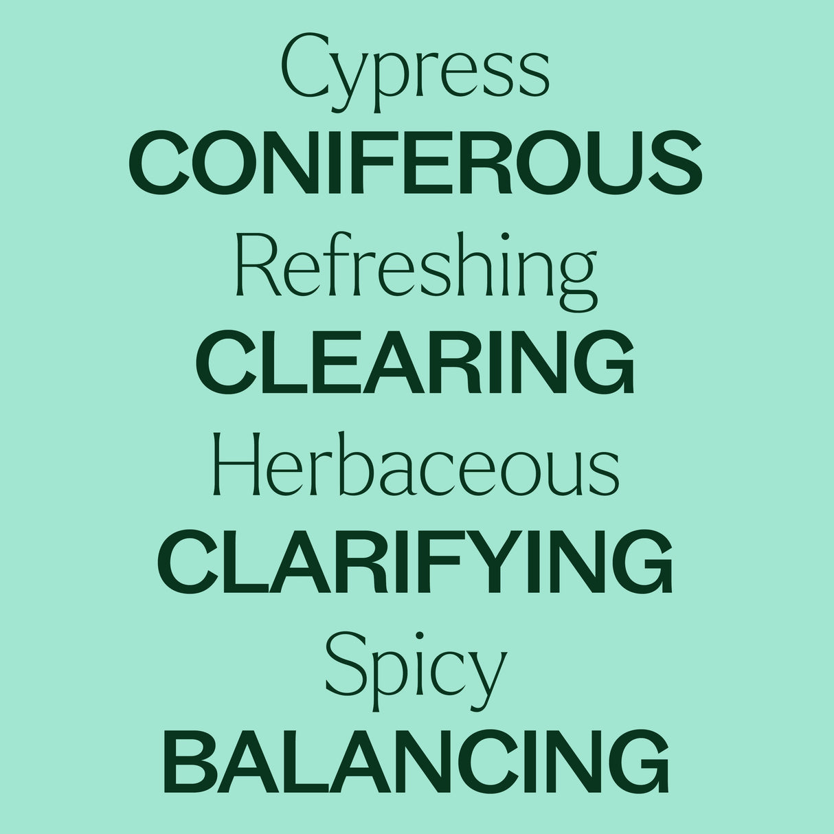 Cypress Essential Oil From Plant Therapy