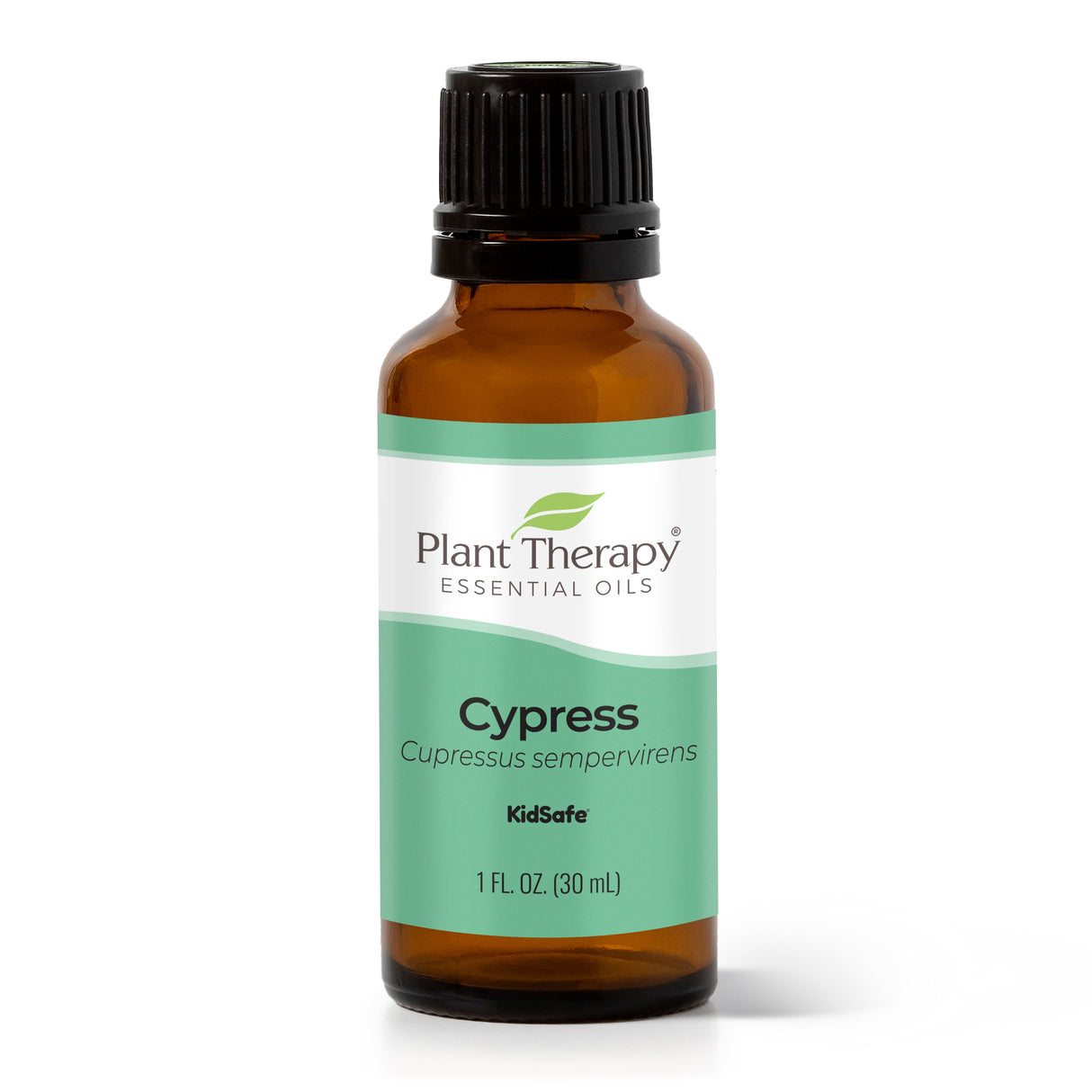 Cypress Essential Oil From Plant Therapy