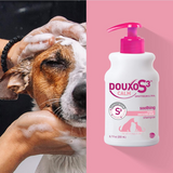 Douxo S3 Calm Soothing Shampoo for Itchy & Irritated Skin from HardyPaw