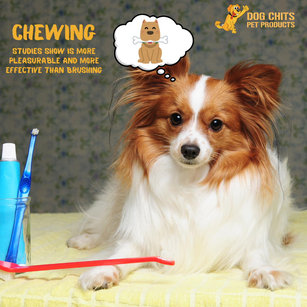 Beef Jerky (esophagus), 6 Inch, 10 oz. Bag (avg. 28 pieces) from Dog Chits Pet Products