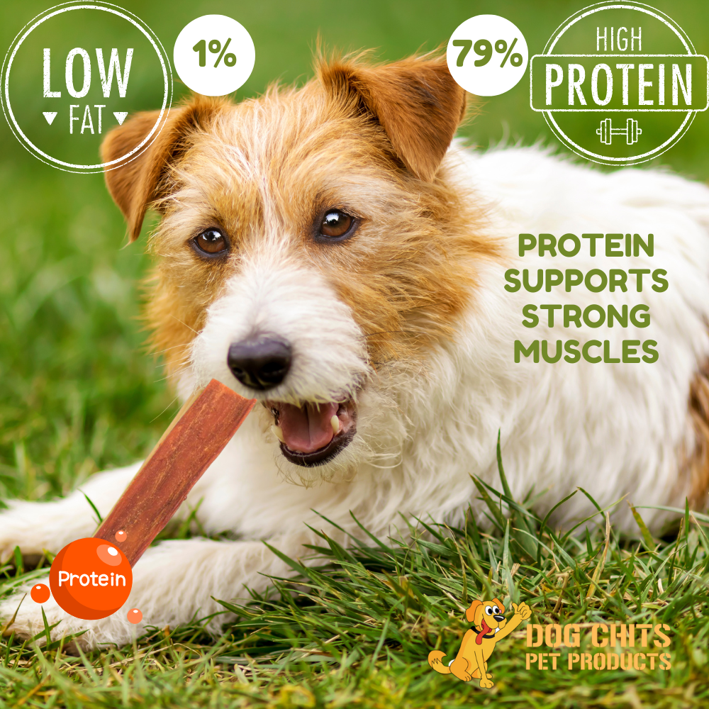 Beef Jerky (esophagus), 6 Inch, 10 oz. Bag (avg. 28 pieces) from Dog Chits Pet Products
