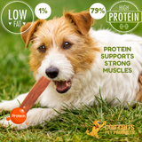Beef Jerky (esophagus), 6 Inch, 10 oz. Bag (avg. 28 pieces) from Dog Chits Pet Products