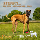 Beef Lung Fillets, 10 oz. from Dog Chits Pet Products