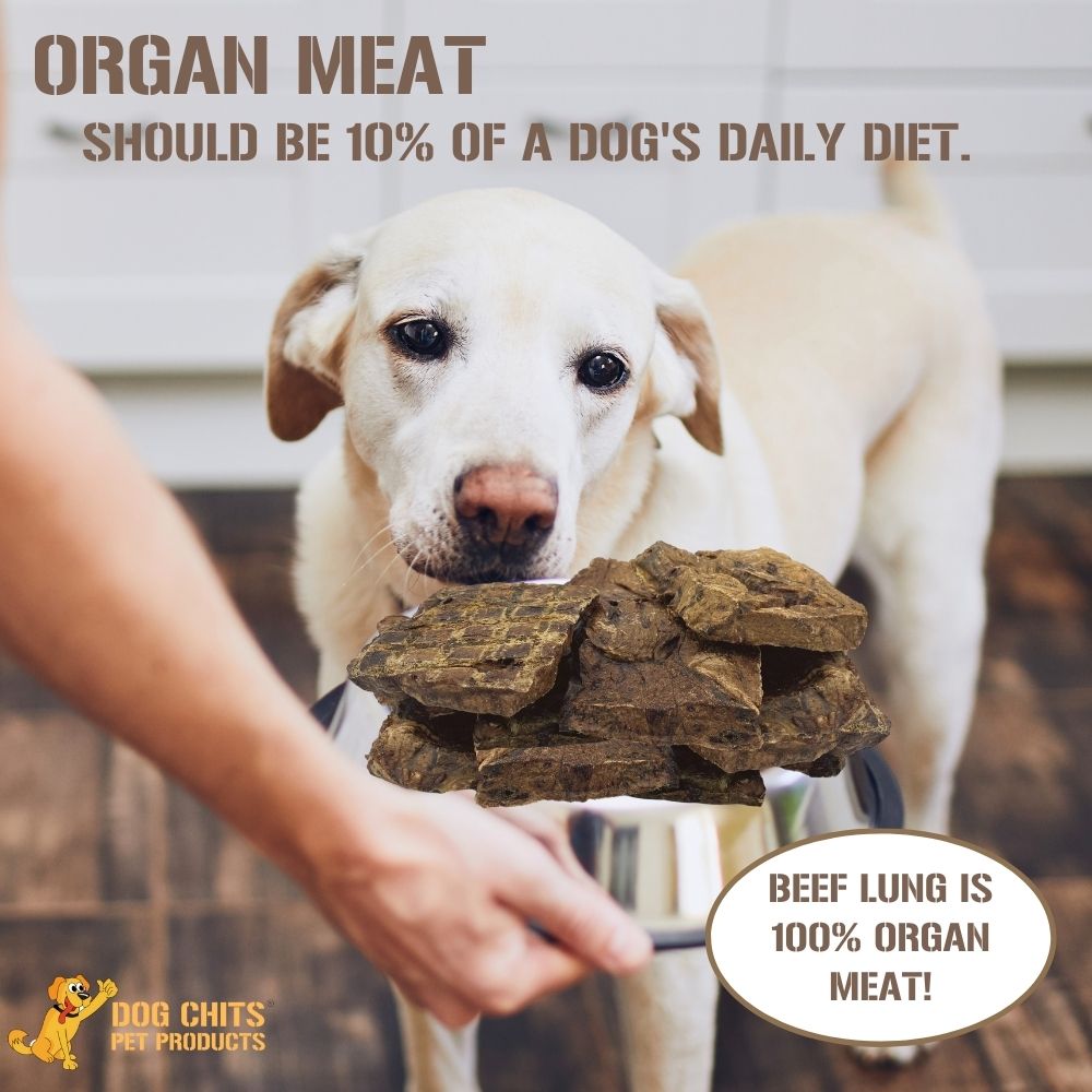 Beef Lung Fillets, 10 oz. from Dog Chits Pet Products