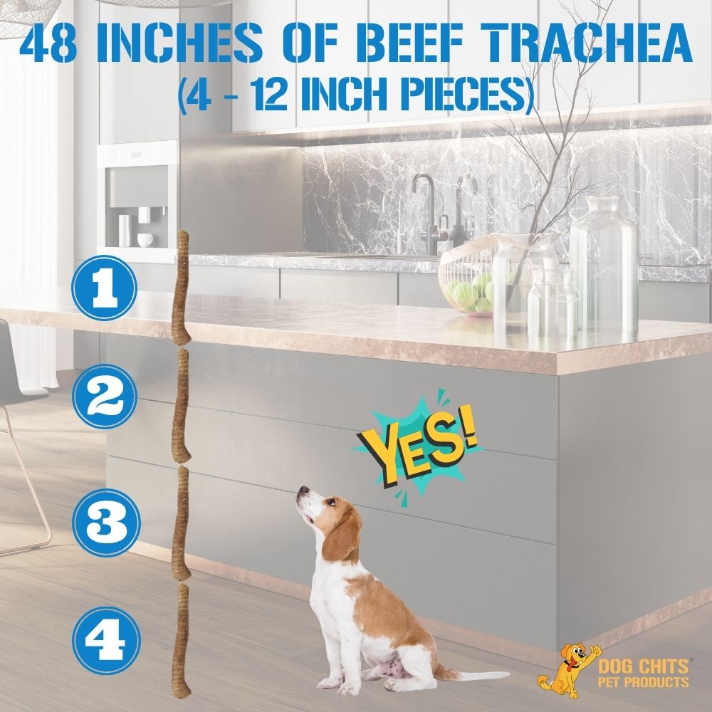 Beef Trachea Dog Treats - 12 Inch, 4 Pack from Dog Chits Pet Products