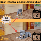 Beef Trachea for Dogs, 8 - 6 Inch Pieces from Dog Chits Pet Products