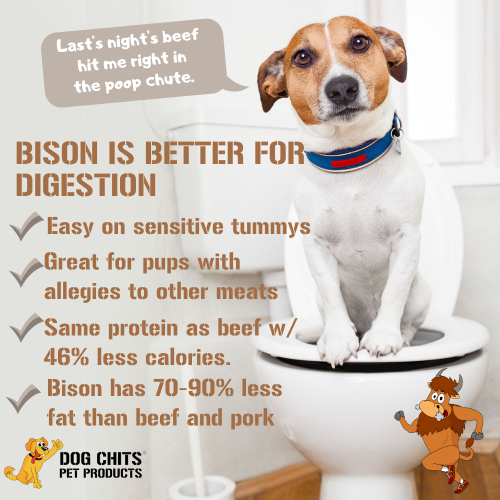 Bison Lung Fillet Treats for Dogs - 10 oz from Dog Chits Pet Products