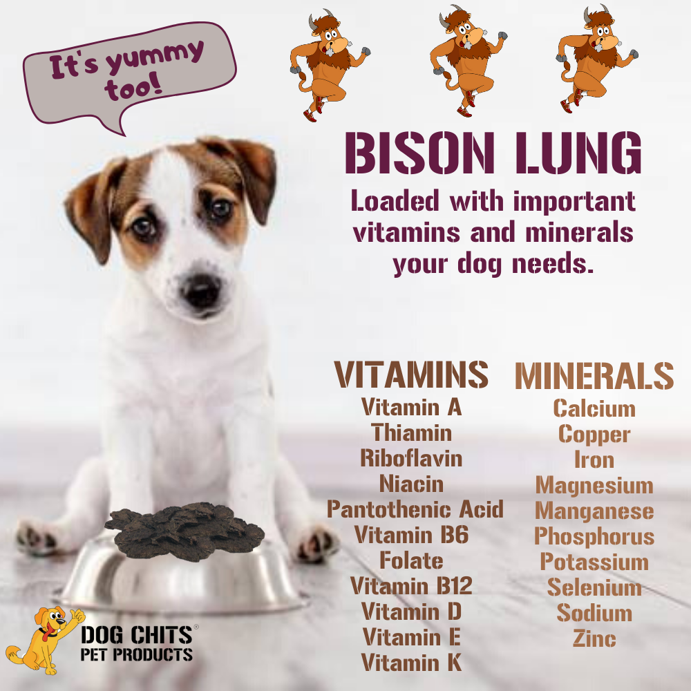 Bison Lung Fillet Treats for Dogs - 10 oz from Dog Chits Pet Products
