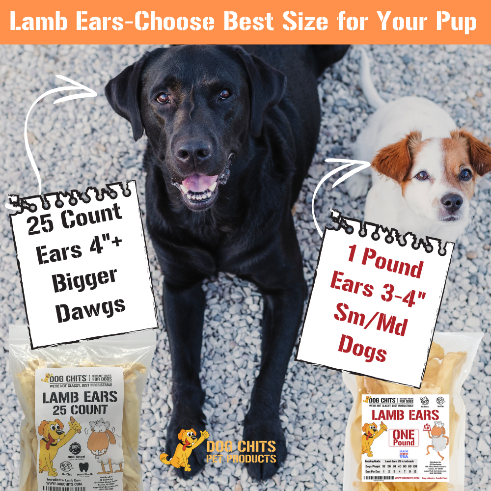Lamb Ears for Dogs, Large - 25 Pack from Dog Chits Pet Products
