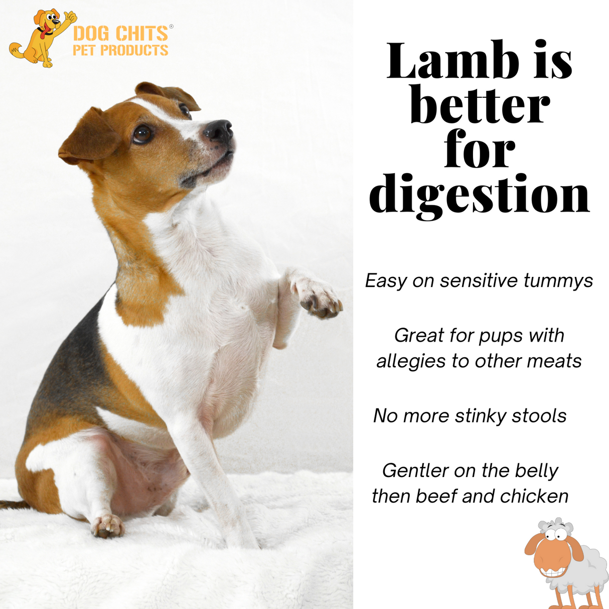 Lamb Lung Fillet Treats for Dogs - 10 oz from Dog Chits Pet Products